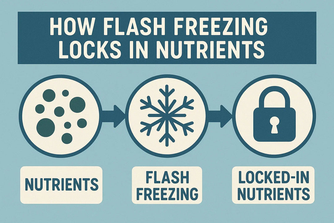 Unlocking the Power of Flash Freezing: How It Preserves Nutrients and Enhances Your Meals