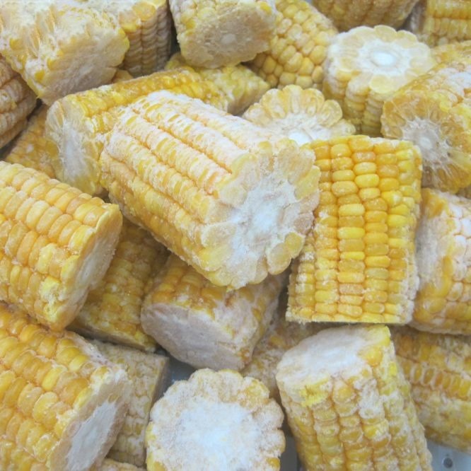 Sweet Corn Cobbettes